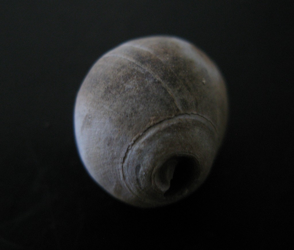 other worlds 1_small
